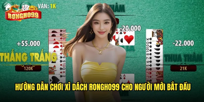 Hướng dẫn chơi xì dách Rongho99 cho người mới bắt đầu
