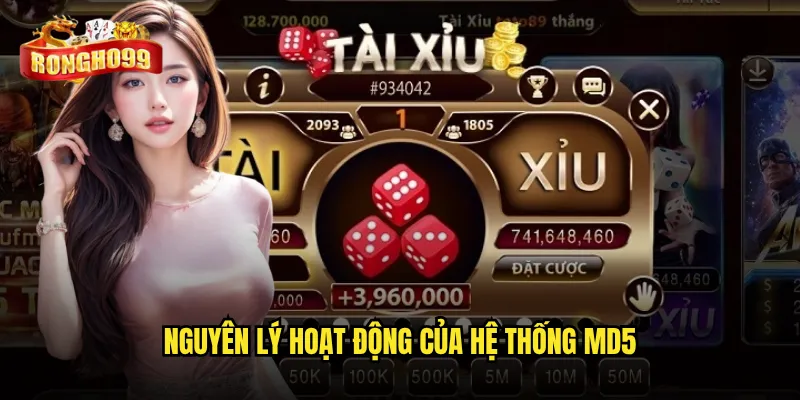 Tài xỉu MD5 Rongho99 có minh bạch và đáng tin cậy? 2 Nguyên lý hoạt động của hệ thống MD5