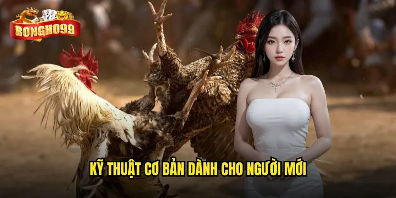 Kỹ thuật cơ bản dành cho người mới