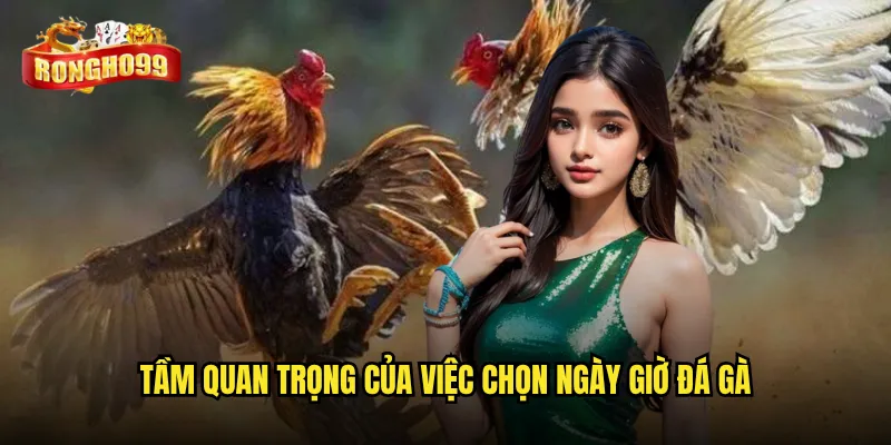 Tầm quan trọng của việc chọn ngày giờ đá gà