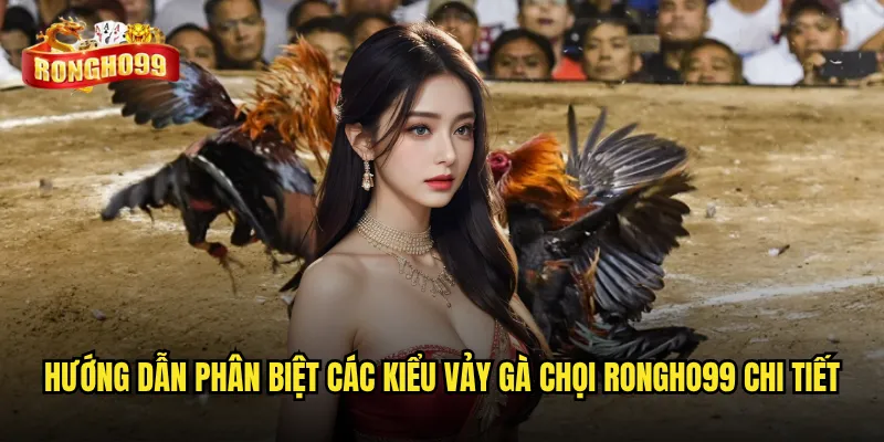 Hướng dẫn phân biệt các kiểu vảy gà chọi Rongho99 chi tiết