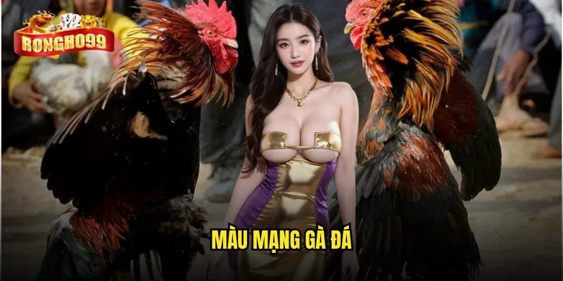 màu mạng gà đá