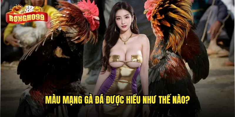 Bí ẩn đằng sau màu mạng gà đá tại Rongho99 có thật sự ảnh hưởng đến vận may? 2 Màu mạng gà đá được hiểu như thế nào?