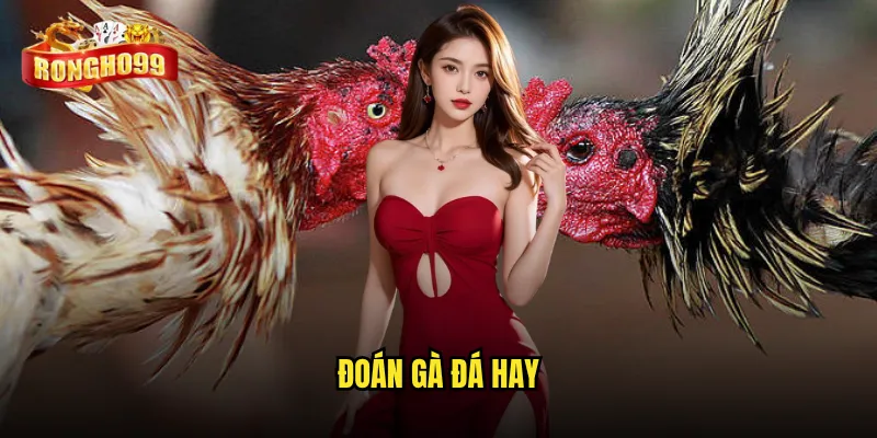 Đoán gà đá hay