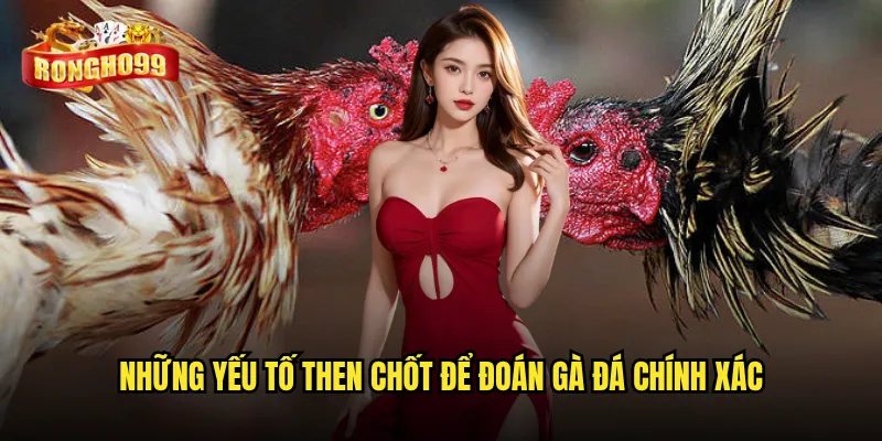 Những yếu tố then chốt để đoán gà đá chính xác