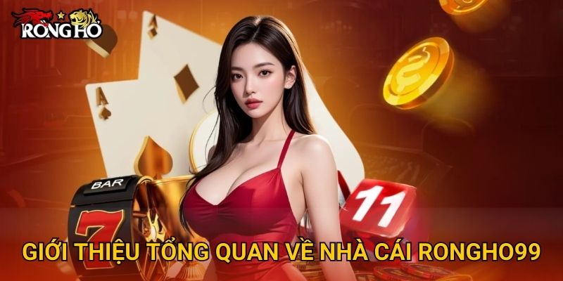 Trang chủ 26 Giới thiệu tổng quan về nhà cái Rongho99
