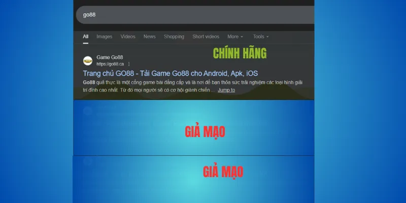 Cách chọn miền Go88 đúng – chỉ go88.com và go88.ca 3 Khi nào nên tránh các trang khác